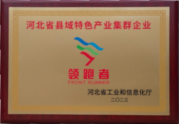 Leading enterprises in county-level charac