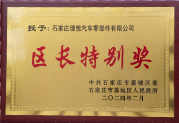 District Chief Special Award